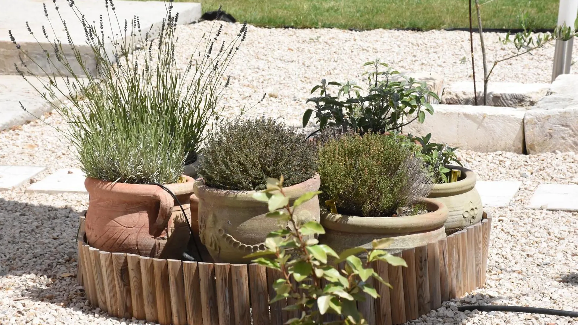 Bed & Breakfast Il Vecchio Casale B&B Sedini